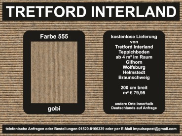 555-gobi.jpg – Naturteppich Gobi in warmem Beigeton – ideal für gemütliche Wohnbereiche